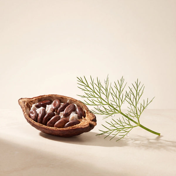 SAY Shine & Care 250 · ingredient