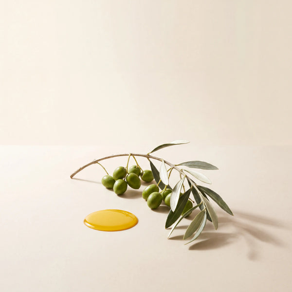 SAY Dúo Limpieza + Nutrición · ingredient