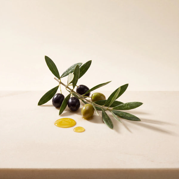 SAY Dúo Antiedad Olive · ingredient