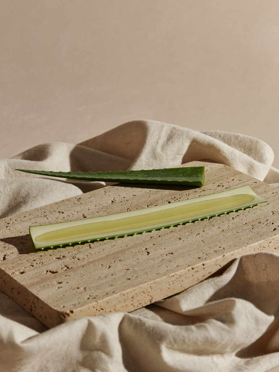 Aloe vera