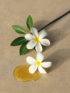 Monoï de Tahití